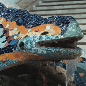 Aprende en una academia